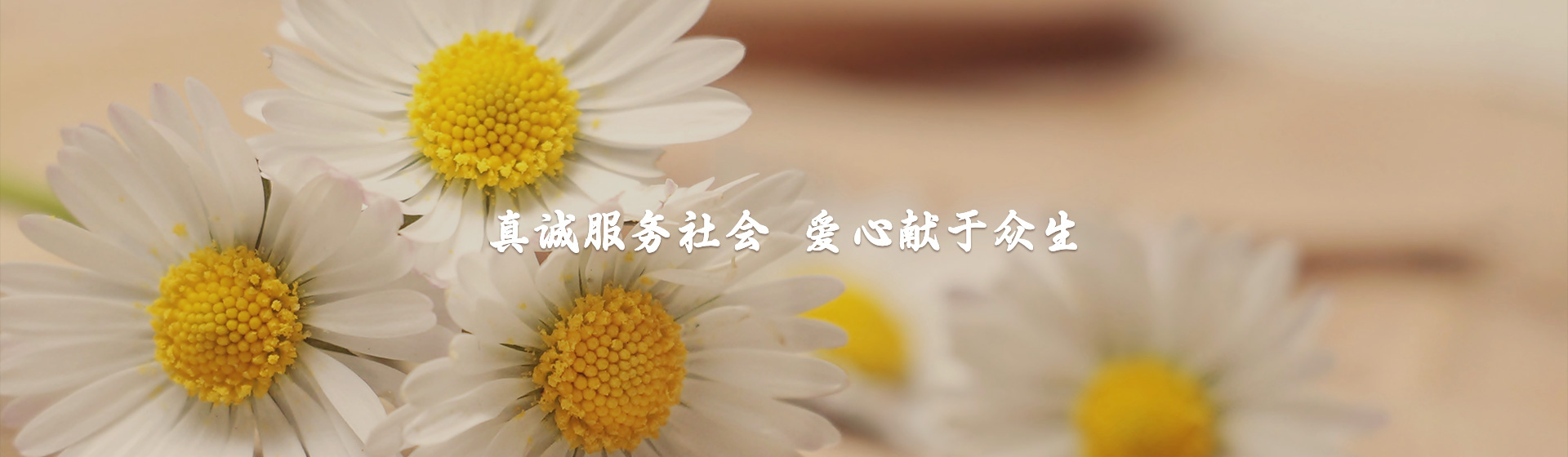 洛陽寶山陵園|洛陽陵園|寶山陵園|洛陽寶山|洛陽市寶山陵園有限公司