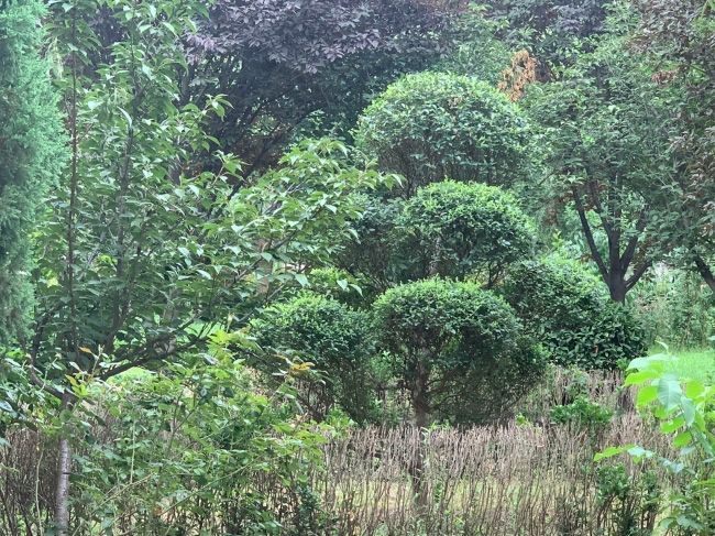 園區(qū)景觀(guān)