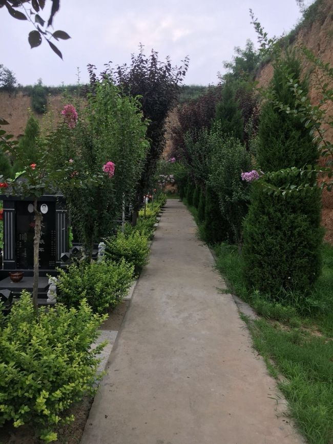 園區(qū)景觀(guān)